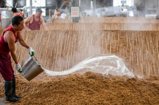 江苏洋河酒哪个比较好喝,江苏洋河酒哪个好喝