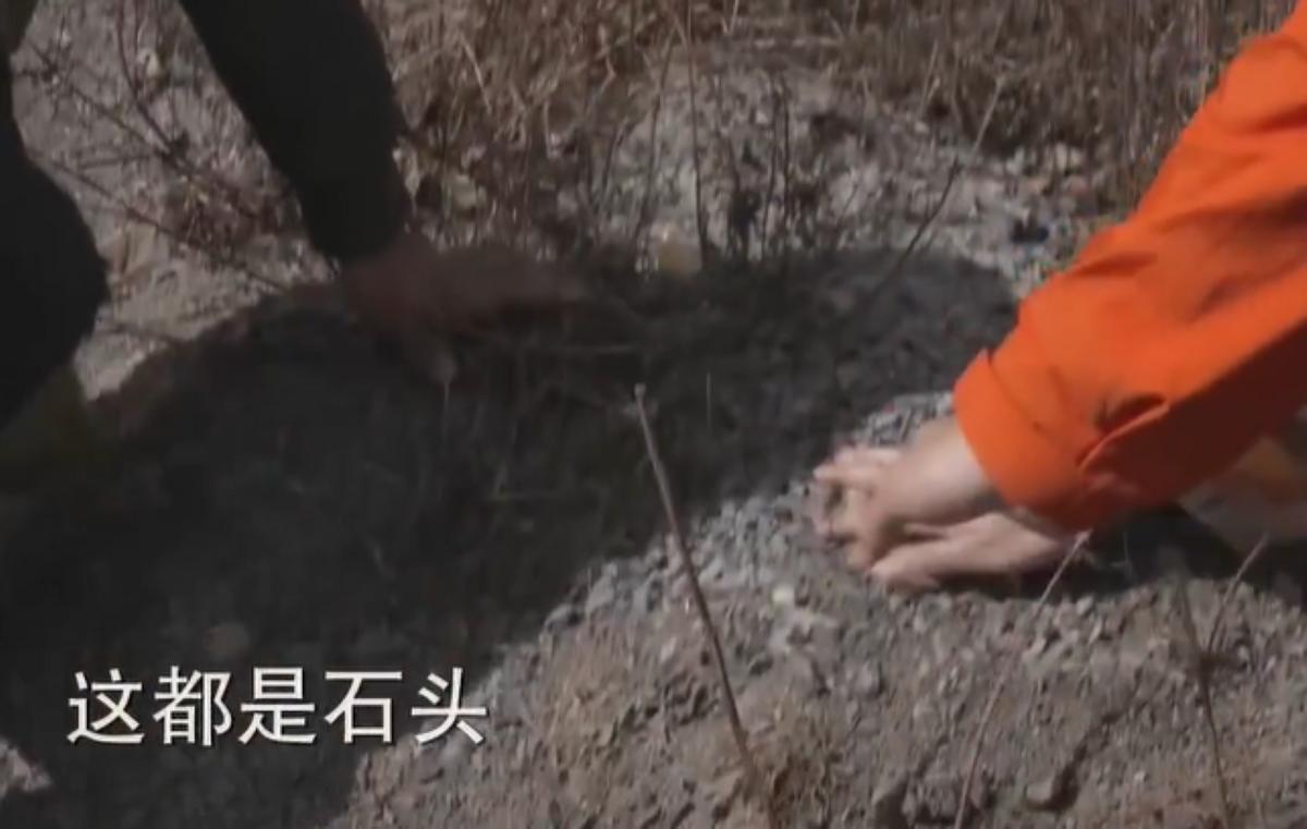 创业失败负债四十万妻子不离不弃,女人创业失败负债37万