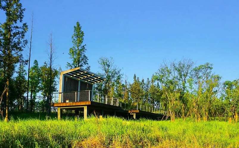 长沙冷门好吃的地方,长沙周边100公里以内小众冷门景点