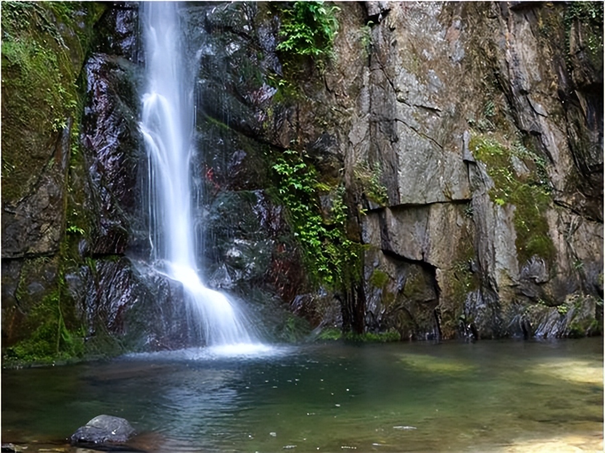 氧居田园山水康县，一个你值得去体验的地方！