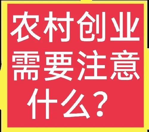 想在农村创业需要了解什么,农村创业需要满足哪几个条件