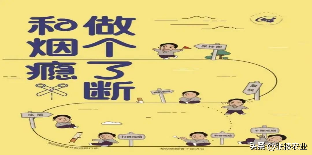 世界无烟日医生科普,善南街道无烟日科普宣传