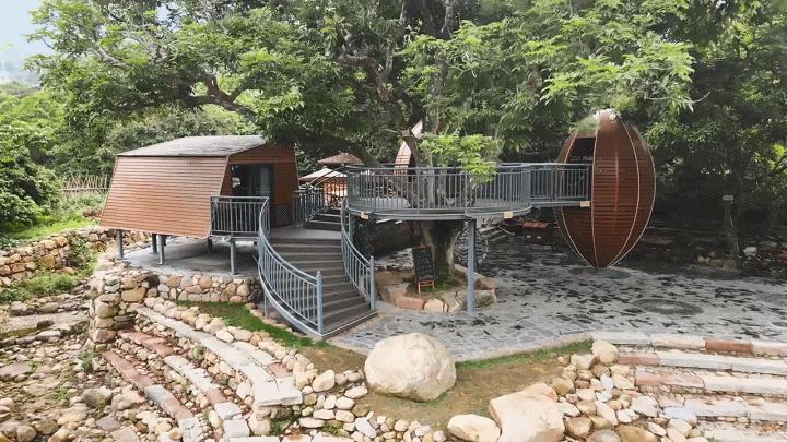 从化东成荷花园,从化摘荔枝之旅