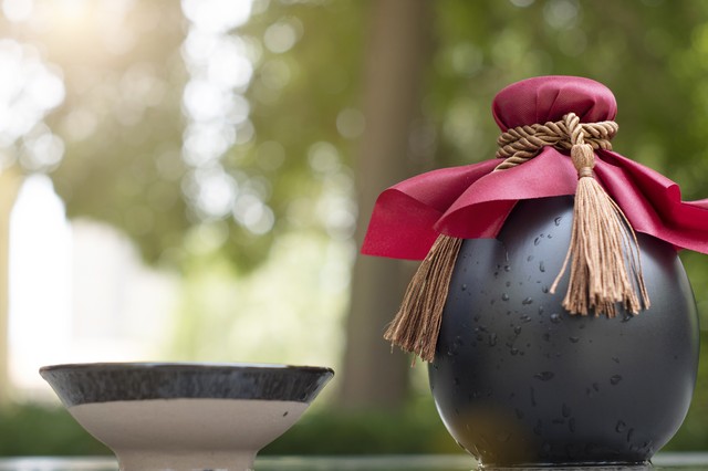 从壹玖壹玖退市看财务与决策的关系