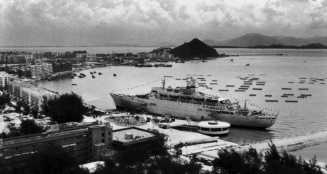 葵花药业创始人,葵花药业发家史