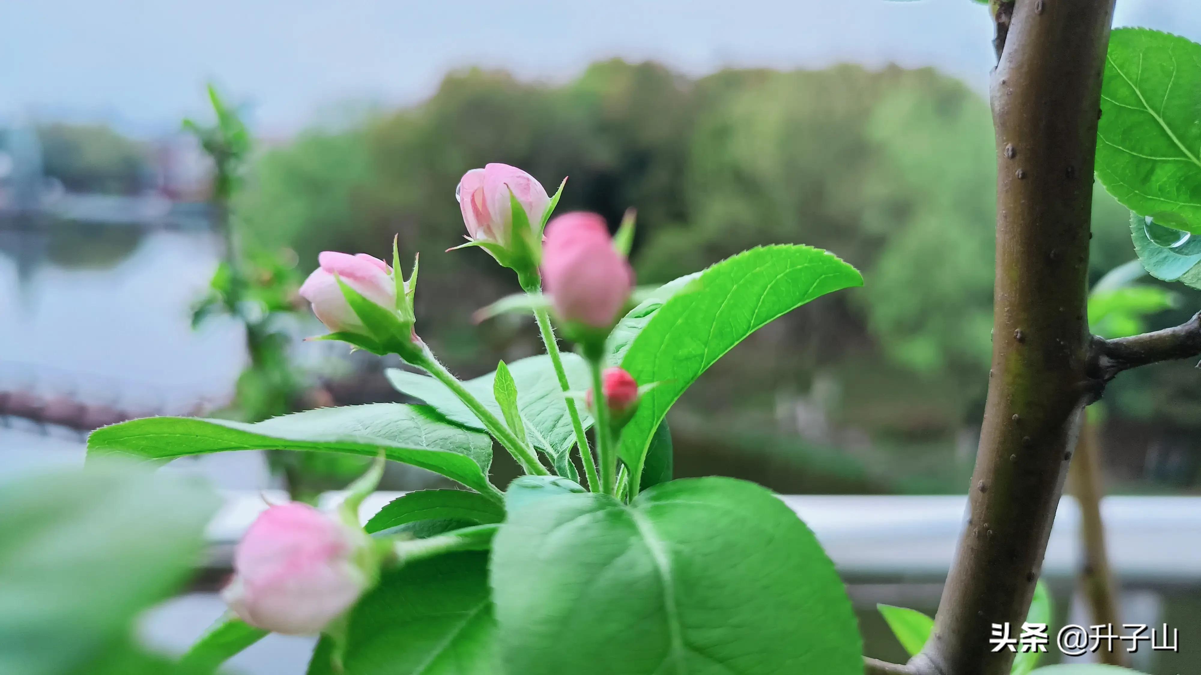 守门员抗疫一线,守门员抗击疫情先进事迹
