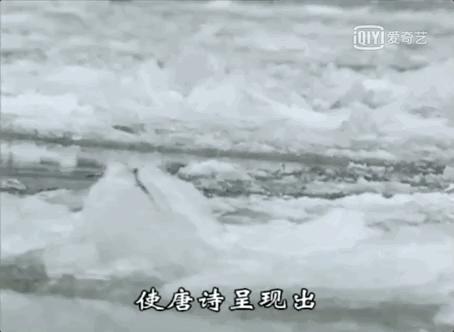 带你真切看人间的宝藏纪录片top10,十一长假适合带孩子看的纪录片