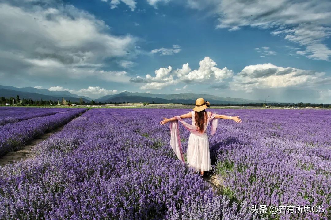 去新疆旅游的美女,去苏州旅游的女人