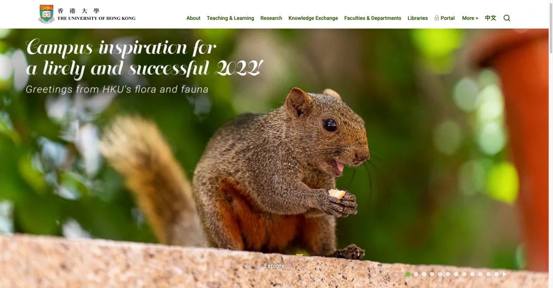 如何搭建数字营销团队,数字营销平台所需要的技术