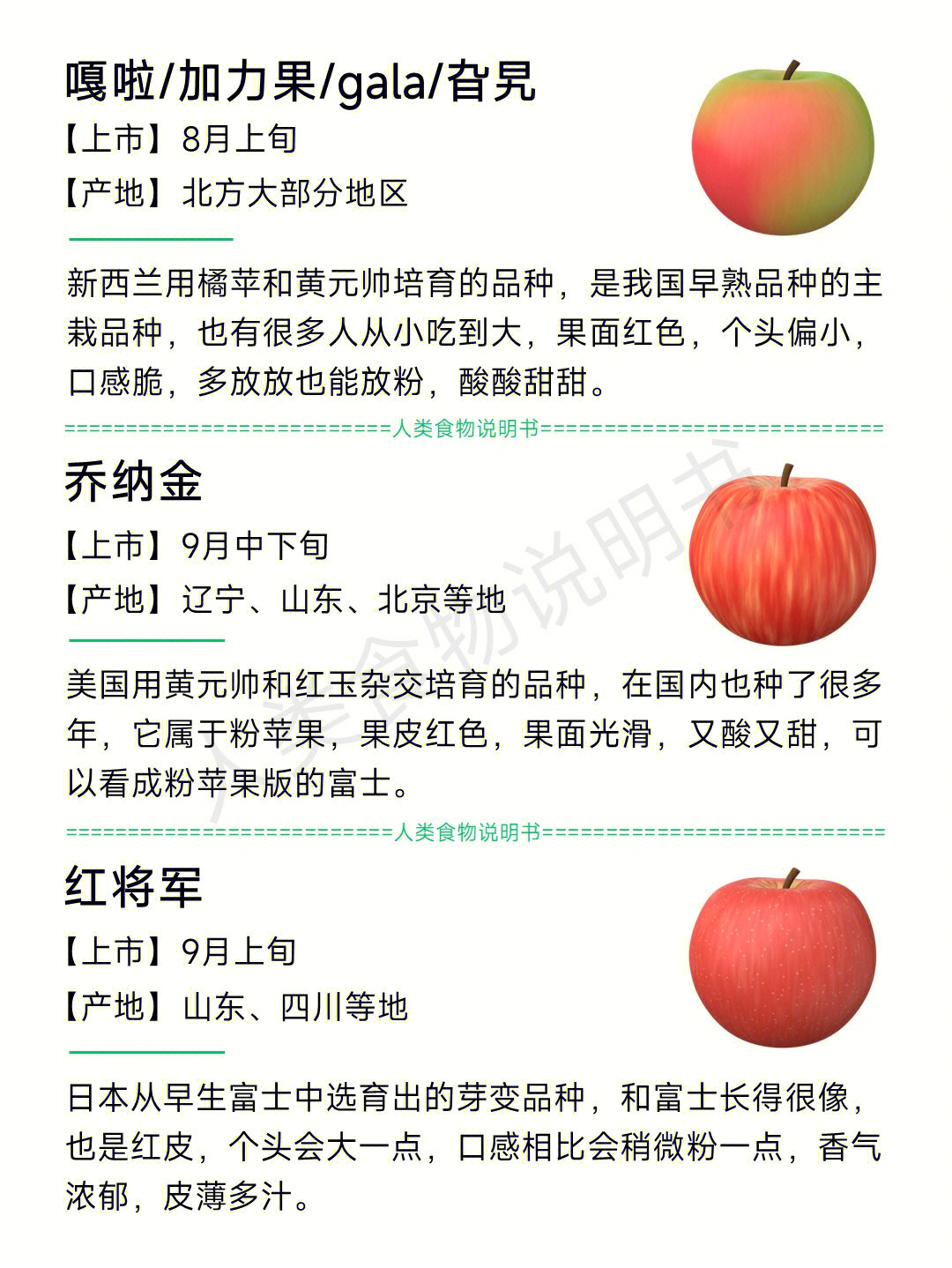 哪个苹果品种最好吃,常见苹果品种介绍你最爱吃哪种