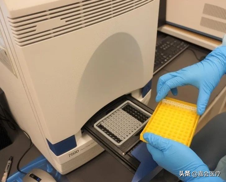 嘉会医疗体检,嘉会医疗体检中心