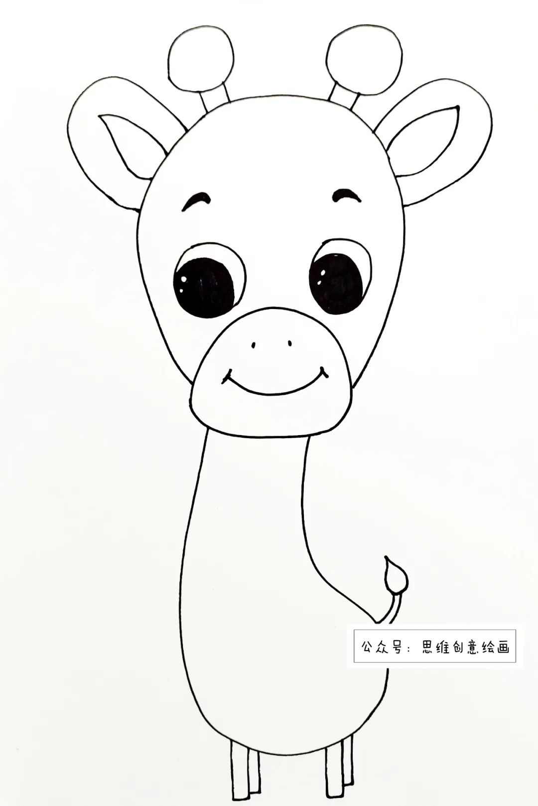 长颈鹿生宝宝,长颈鹿的英语