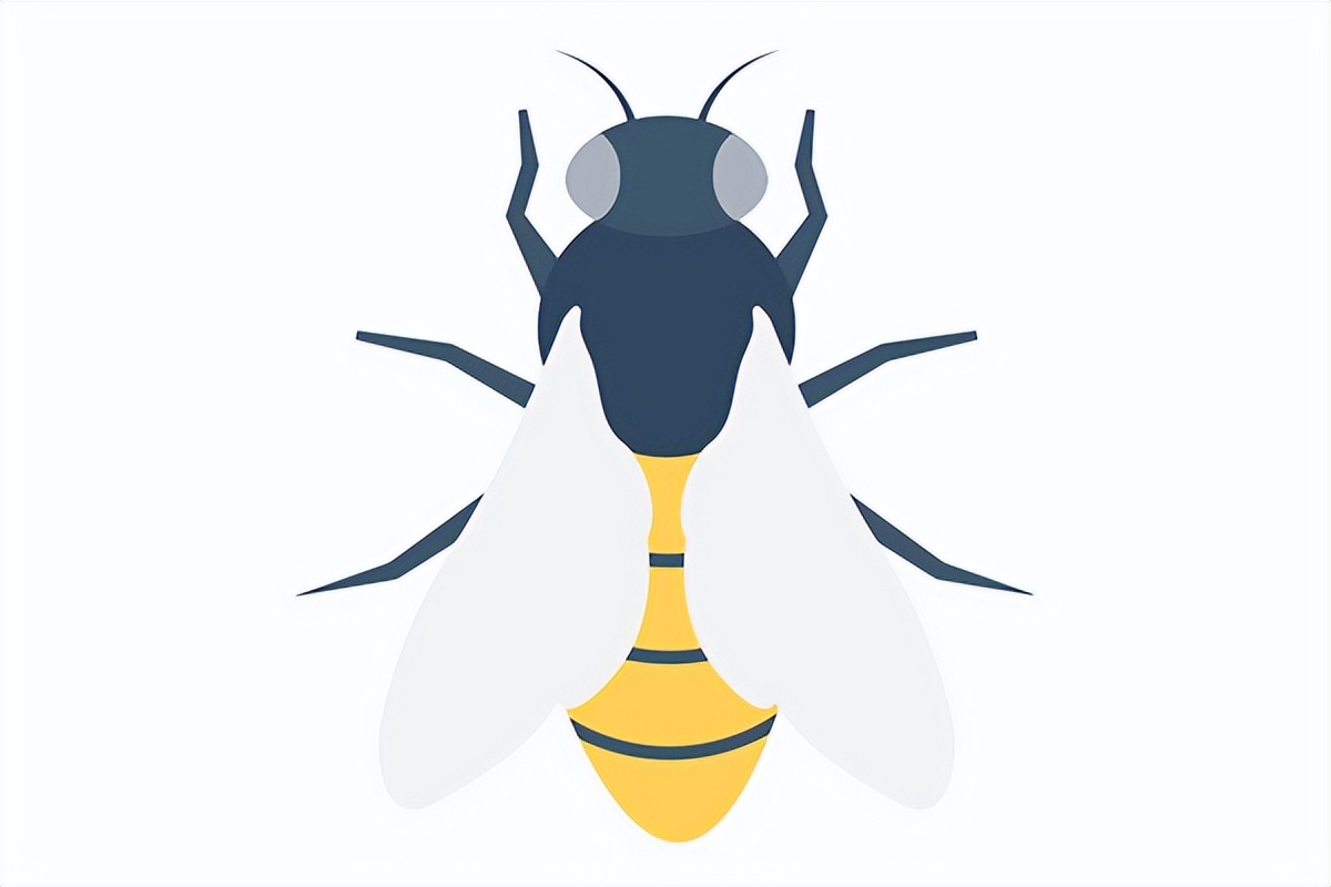 家里很多苍蝇小虫子怎么办,商场苍蝇怎么驱赶最有效的方法