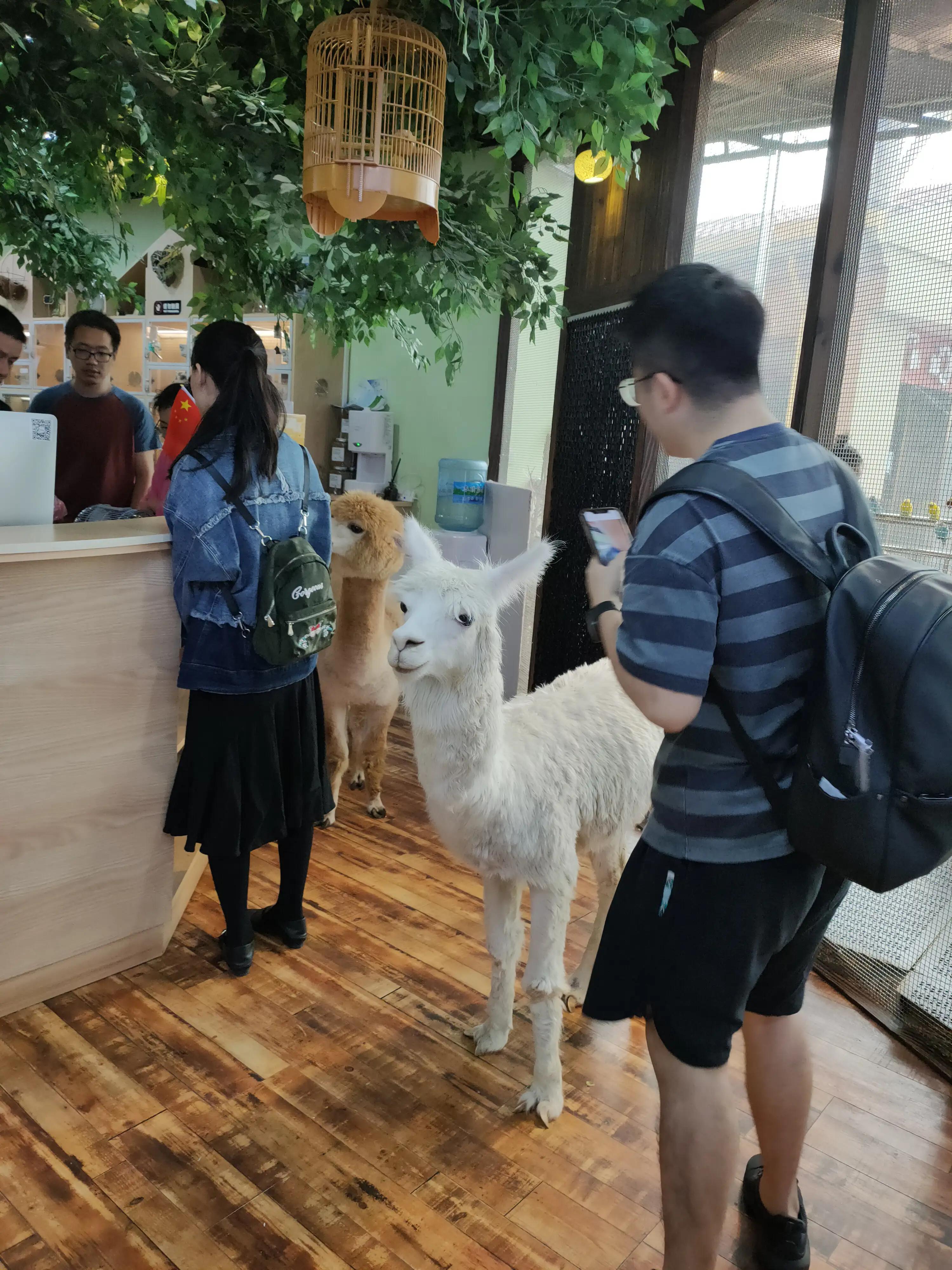 松江开元地中海避风塘,上海市松江区开元地中海