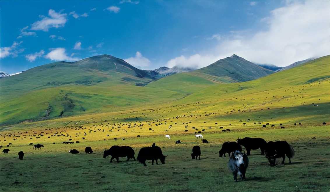 中国旅游日凉山,中国旅游日四川景区