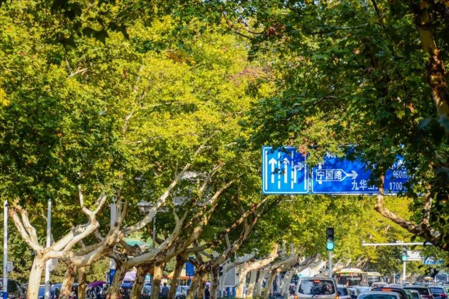 合肥长江路地标,合肥经典地标