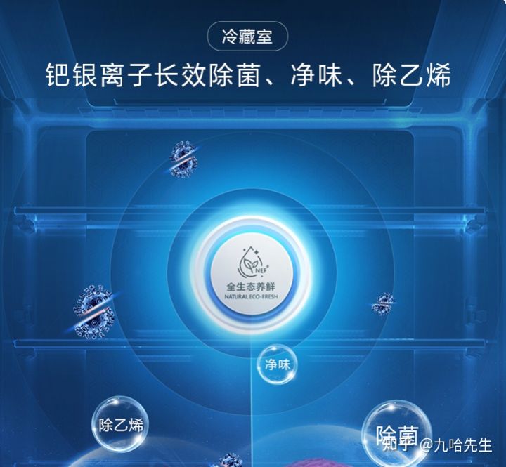 容声超薄冰箱深度60cm哪款好,容声冰箱净味和原鲜系列哪个好