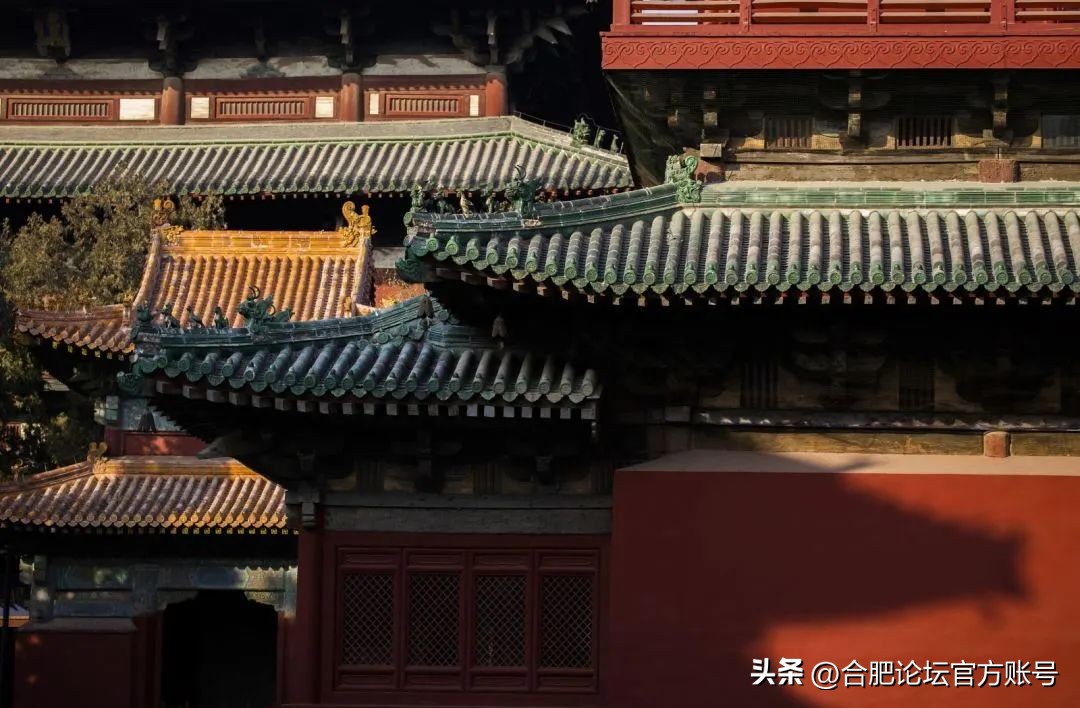 十一月合肥去哪里的机票最便宜,今年11月合肥特价机票