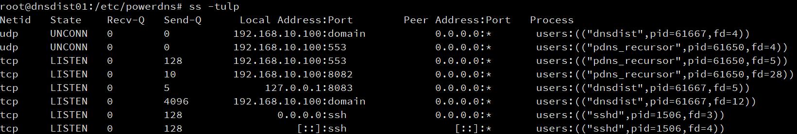 dns初学者教程免费,dns项目详细讲解