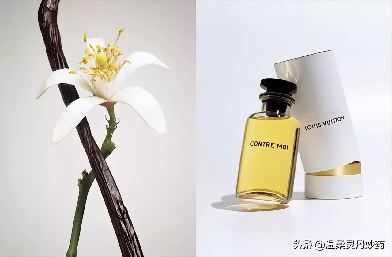路易威登louisvuitton2020春款,louisvuitton路易威登香水
