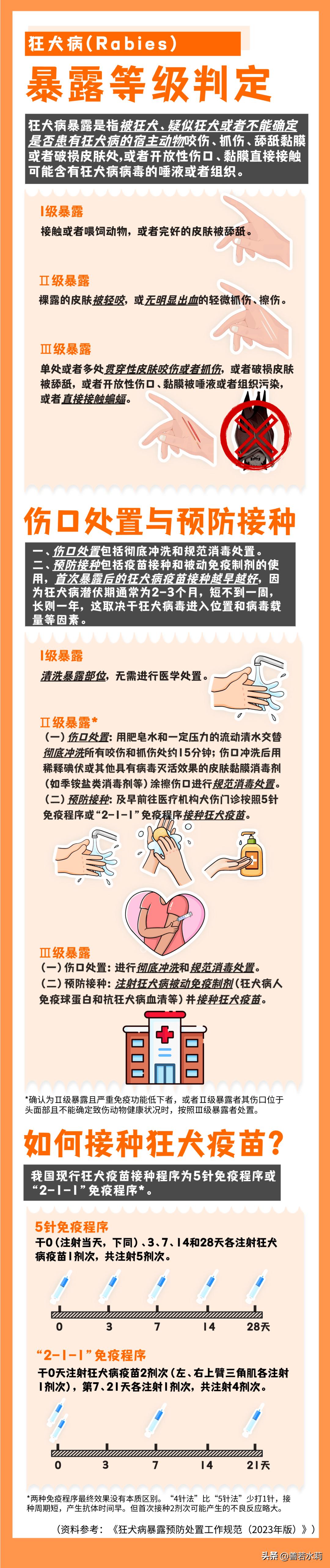 孩子被小动物咬伤后怎么处理,如果被流浪猫咬伤了怎么办