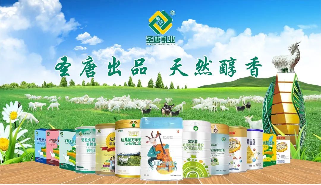 纯羊奶和牛奶哪个补钙效果最好,老年人补钙喝牛奶好还是喝羊奶好