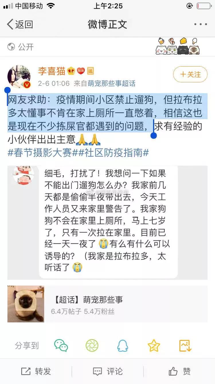 为了让狗狗不吃粑粑,我花5000元给它报了个班