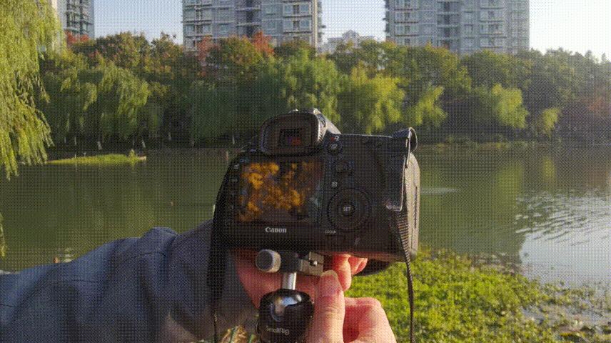 入门碳纤维三脚架推荐,斯莫格三脚架碳纤维和铝合金