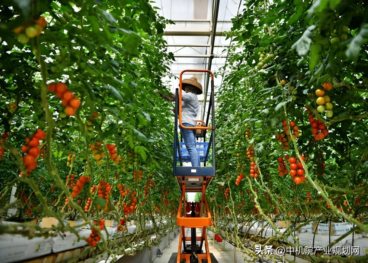 申报广东现代农业产业园,中国农业大学农业示范园规划设计