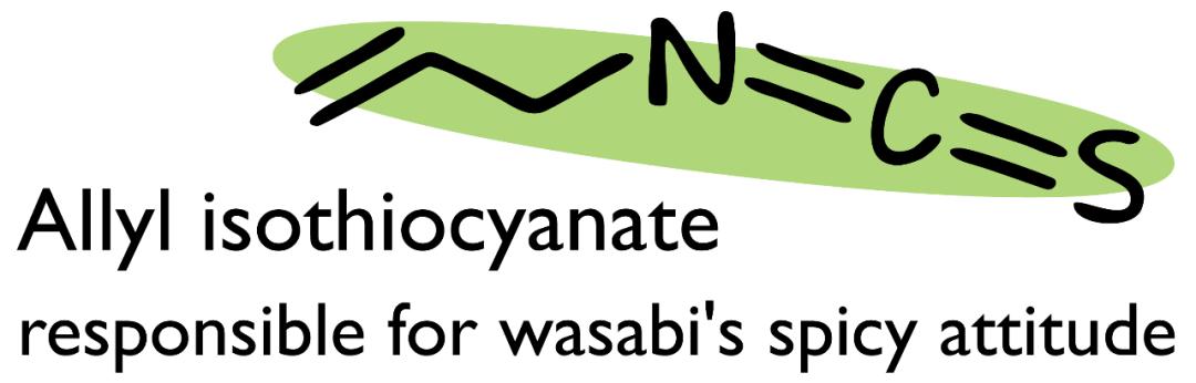 芥末的辣和辣椒的辣有何区别,芥末是用什么辣椒做的