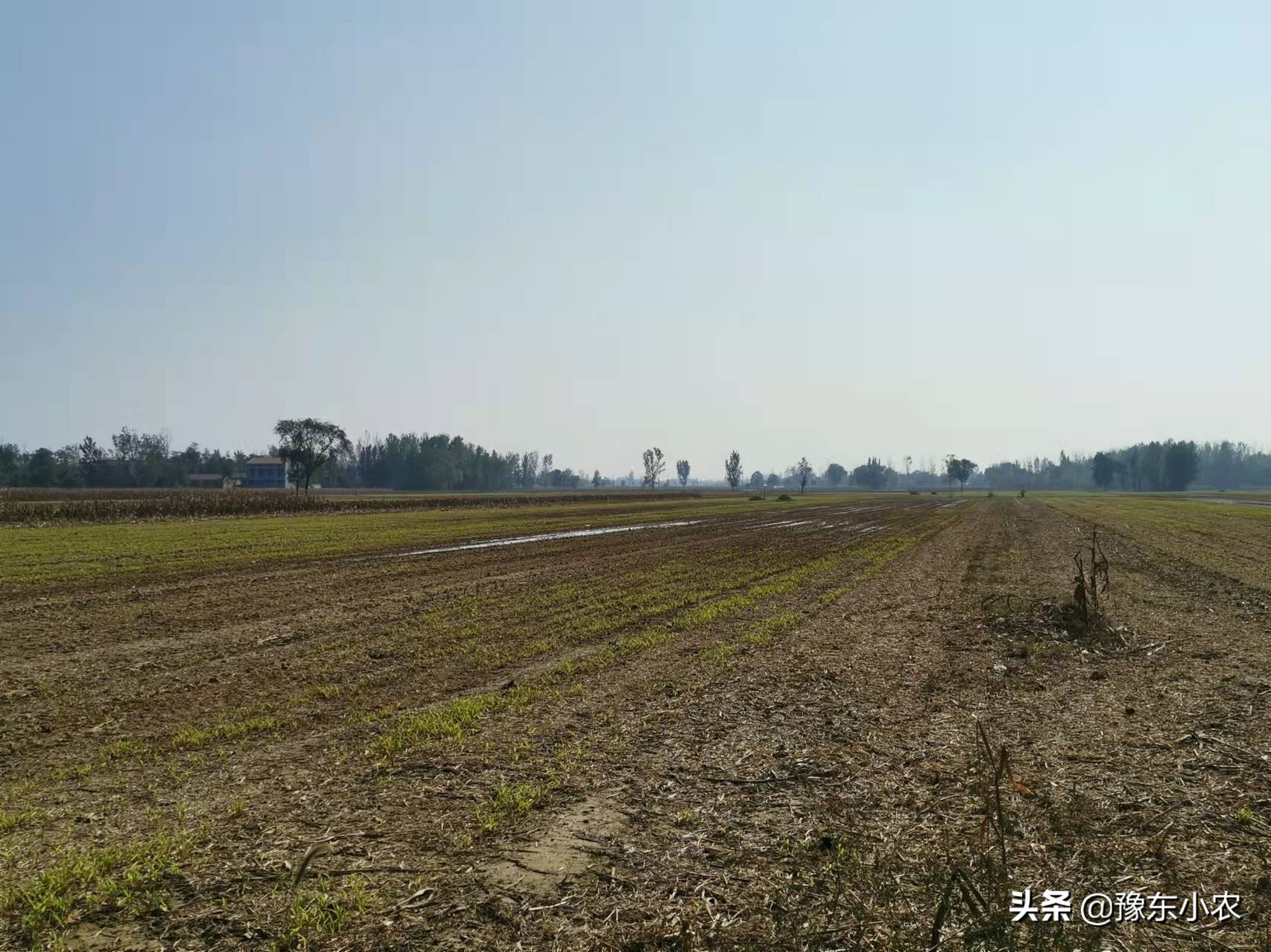 农民种地靠什么赚钱,农民种地靠什么挣钱