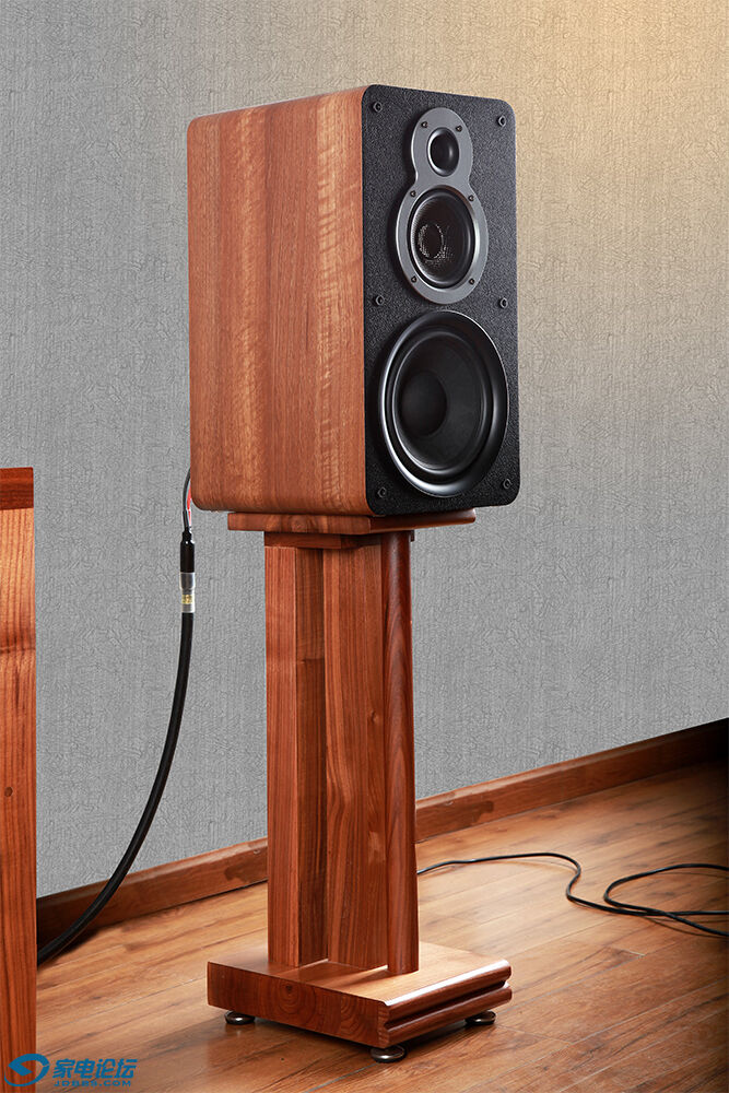 天逸童笛c8音箱评测,天逸童笛c8配什么功放