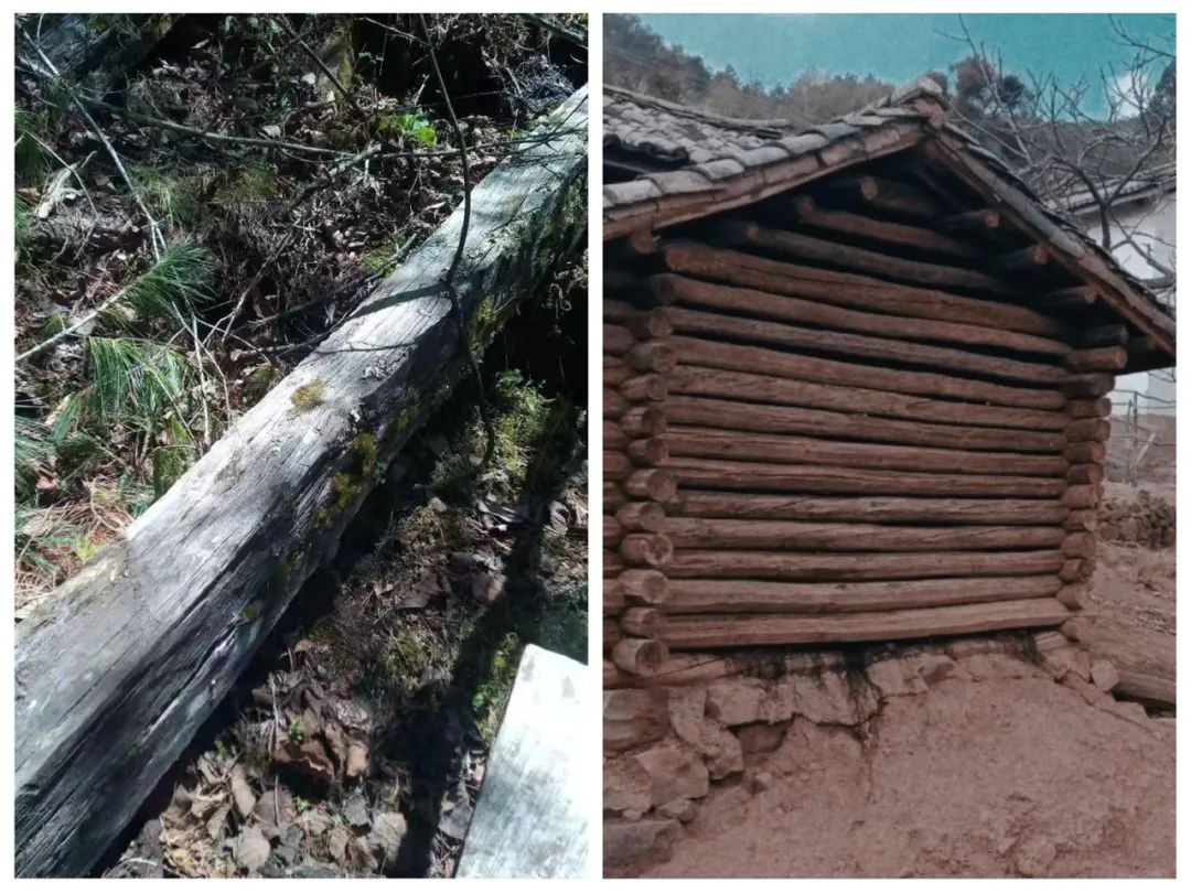 湖北夫妻造房子,湖北夫妻两万造房