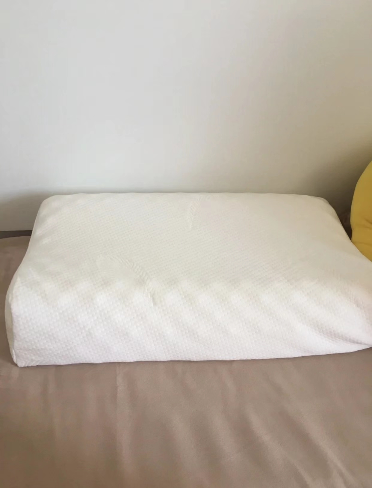 荞麦枕乳胶枕到底哪个好,睡乳胶枕好还是荞麦枕好