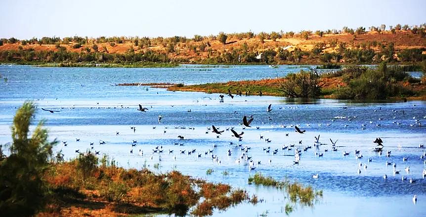 五家渠旅游路线,五家渠攻略