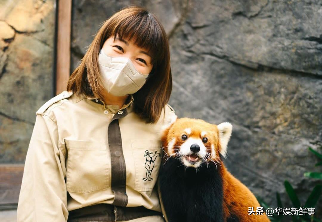 宣布永远退出娱乐圈的港星,各位港星们的现状