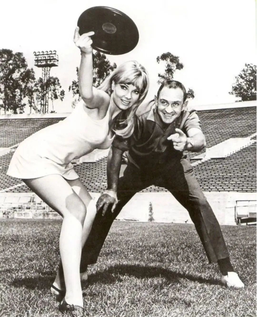 上海玩宠物,上海玩狗户外