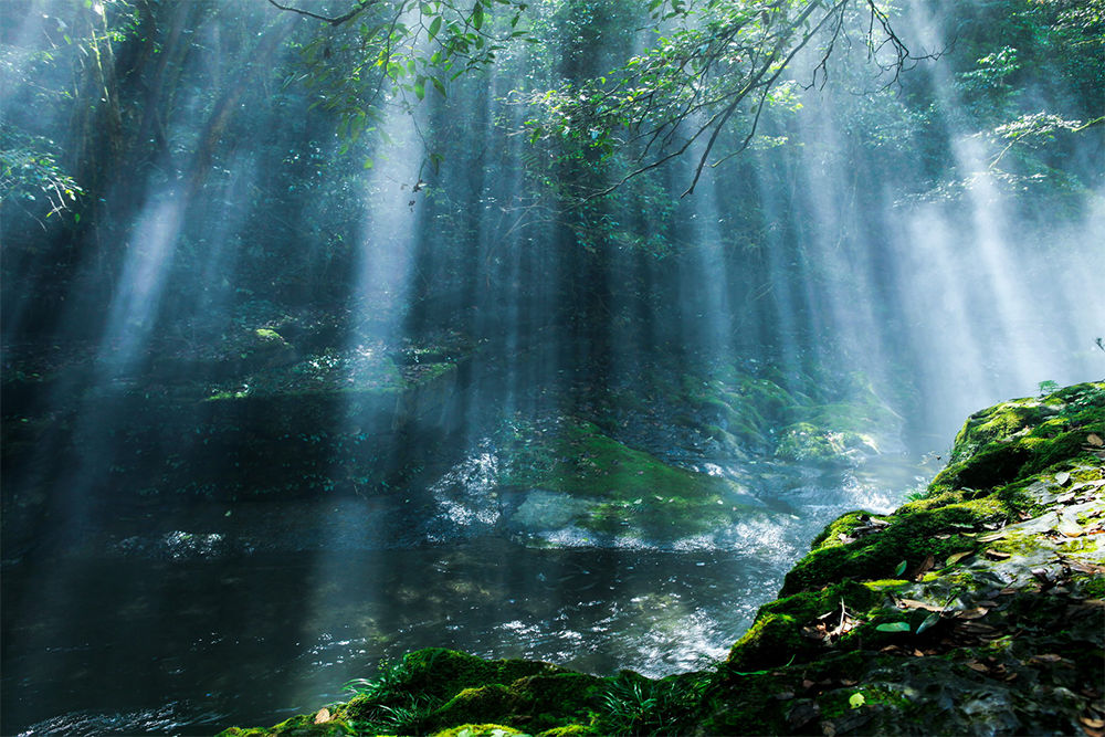 08年,29岁华裔女作家被15岁男孩侵犯,对方律师却称:她先*引勾**的