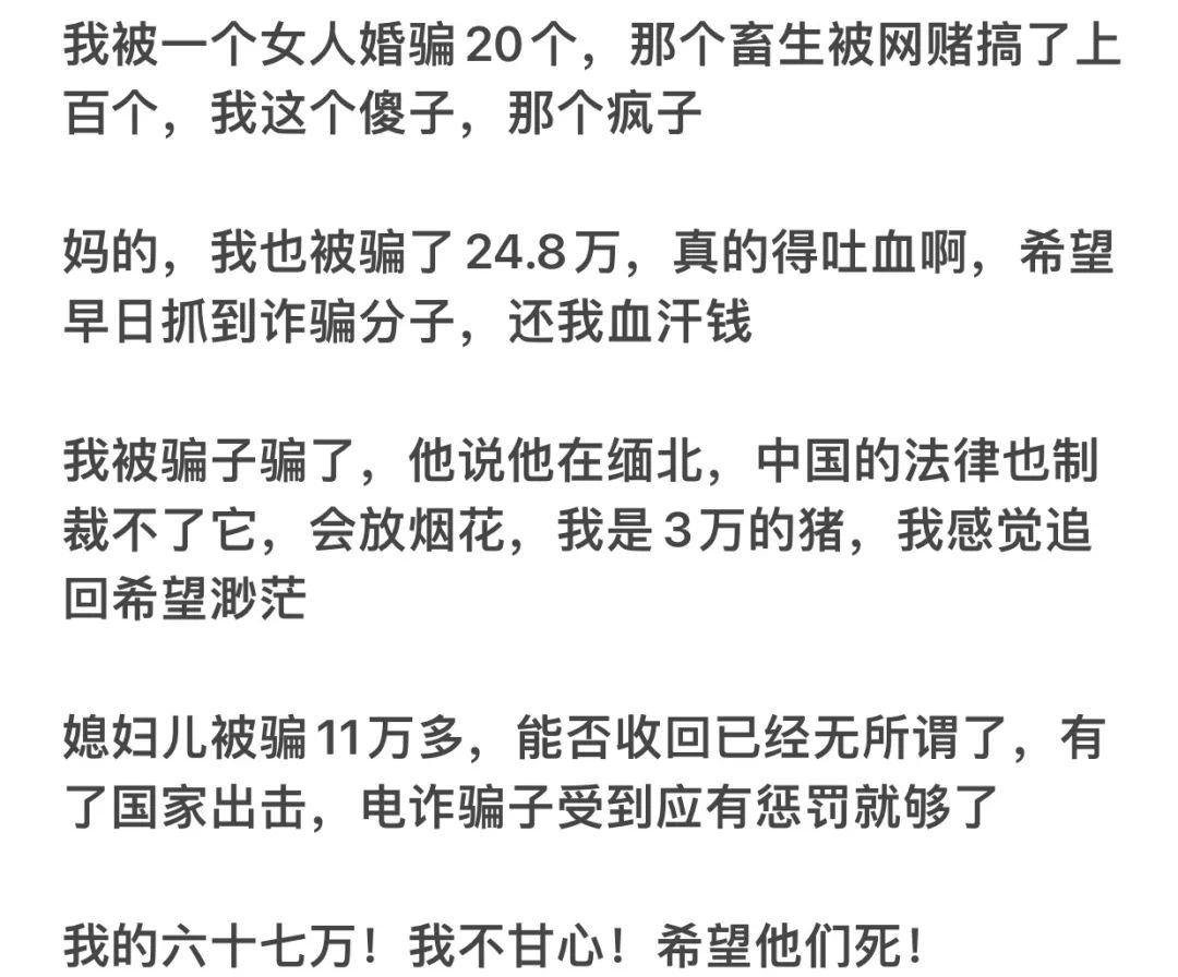 缅北的电信诈骗数据,缅北的电信诈骗人