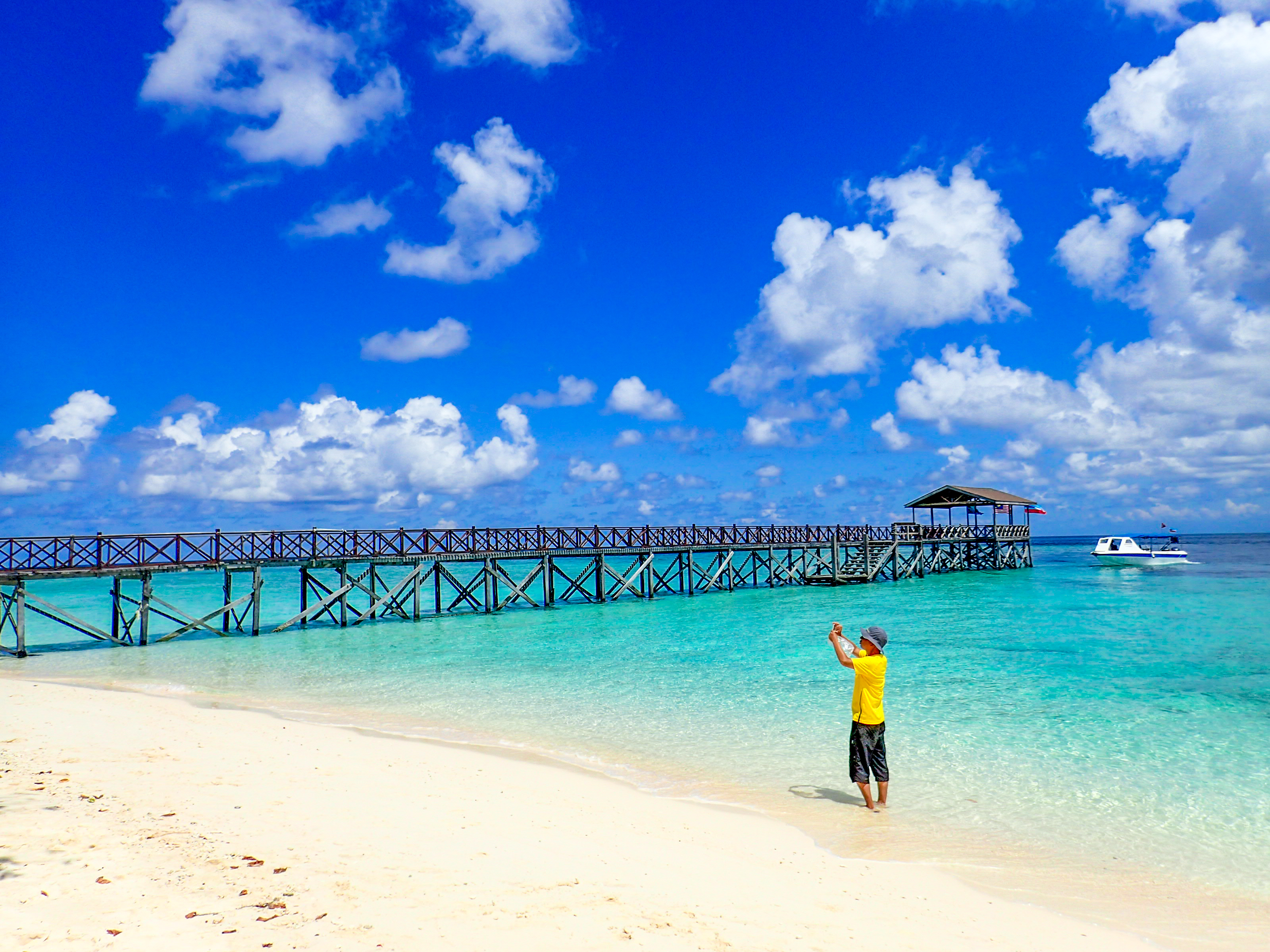 马来西亚仙本那海底,潜水马来西亚仙本那