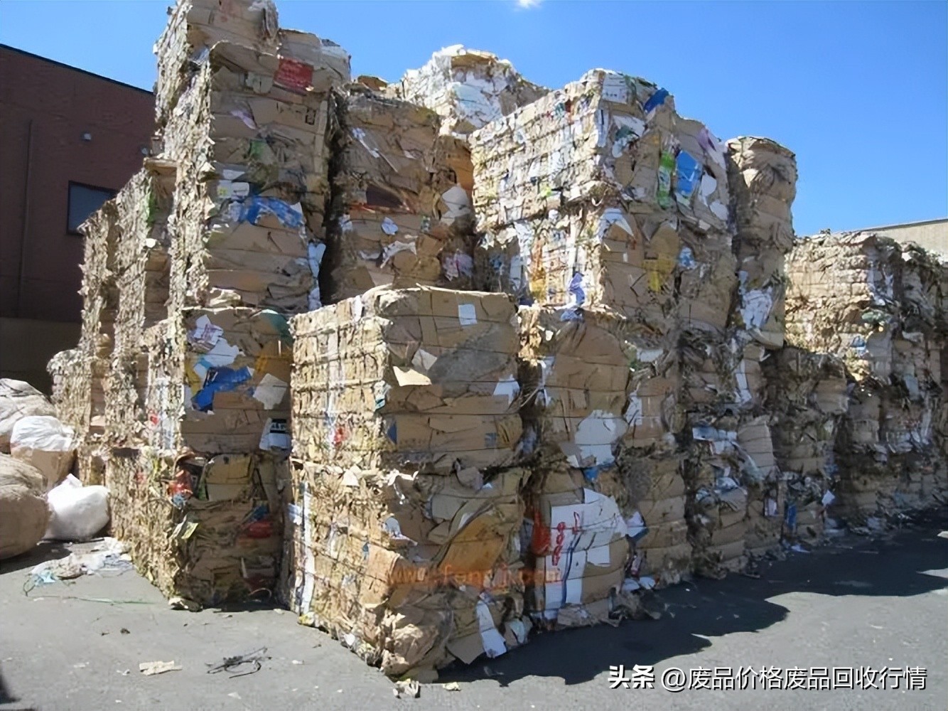 今日黄板纸废纸价格行情,中国废纸网废纸价格行情