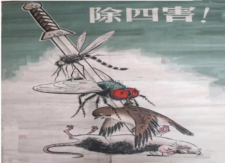 狡猾的动物,狡猾的动物生肖