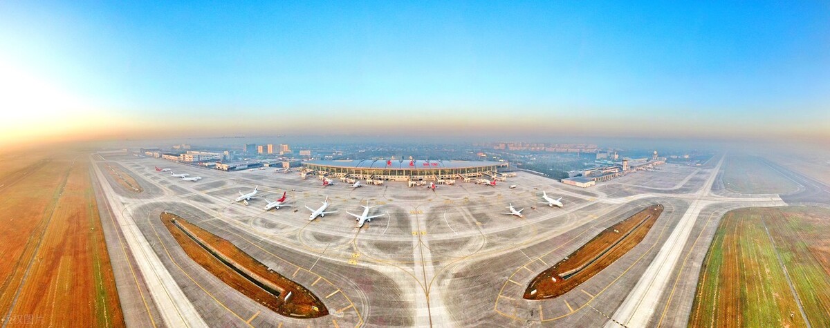 现在中国的国花是什么花,中国的国花应该是什么花呢