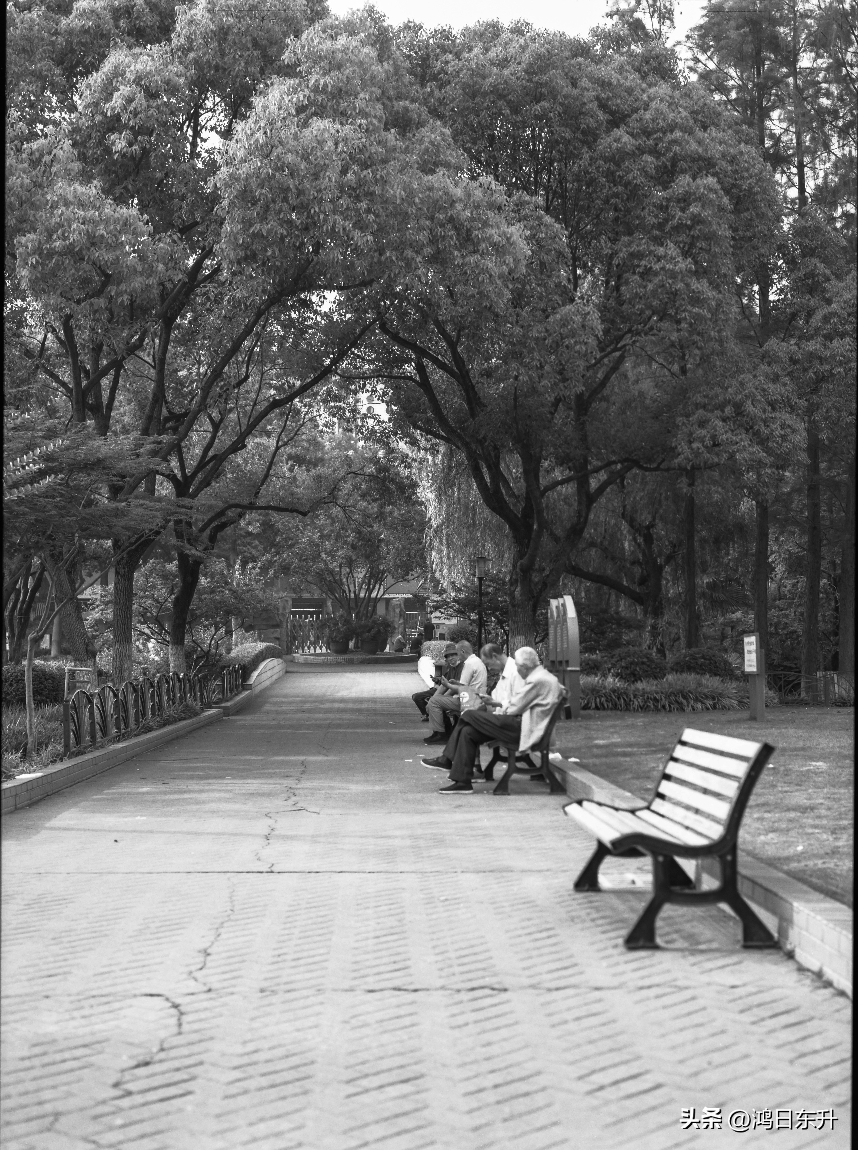 宾得645Nii老胶片相机值得拥有