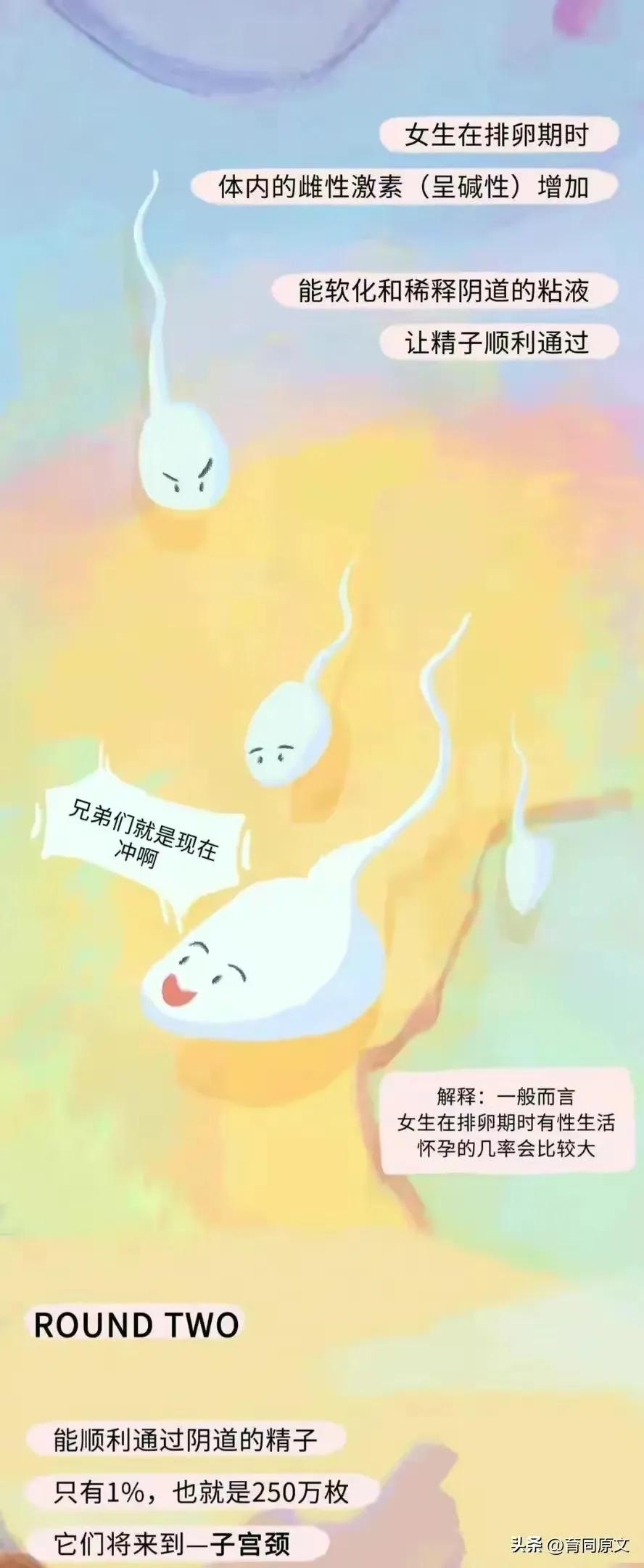 关于怀孕初期的漫画,漫画女性怀孕后都要经历些什么