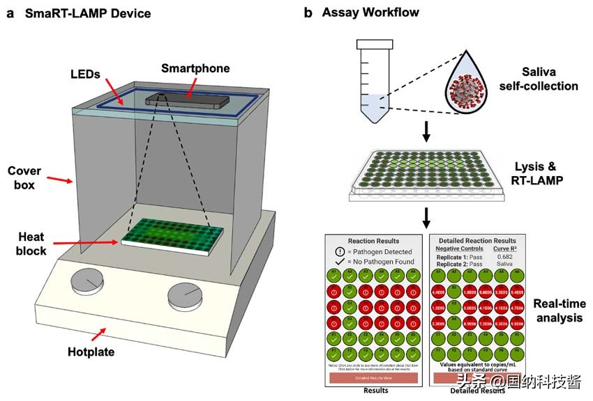 新冠病毒手机也可以测试,手机能检测病毒