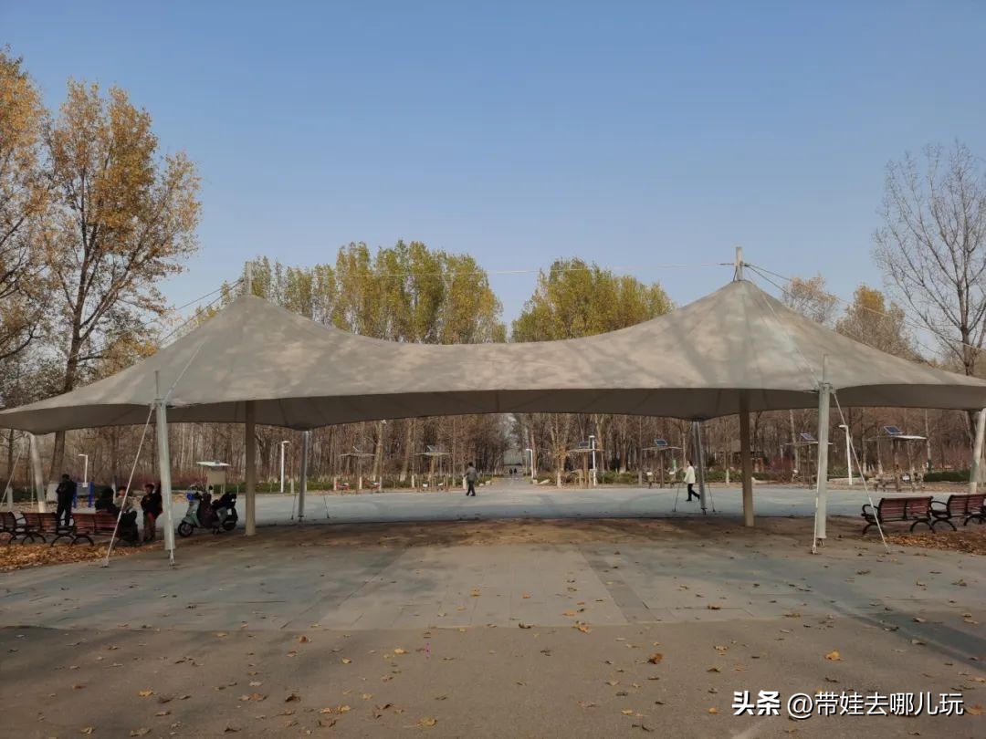 骑行国家森林公园,徒步骑行森林公园