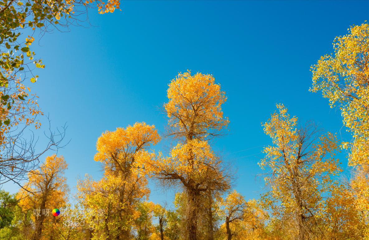 女司机带娃去新疆自驾游,带着女司机自驾游兰州