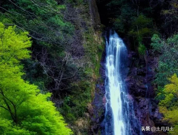 上班时间小职员被老板抓,上班时间被老板抓到玩游戏怎么办