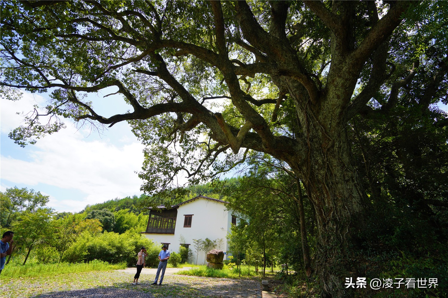 邵武云灵山漂流需要带什么,邵武云灵山漂流多长